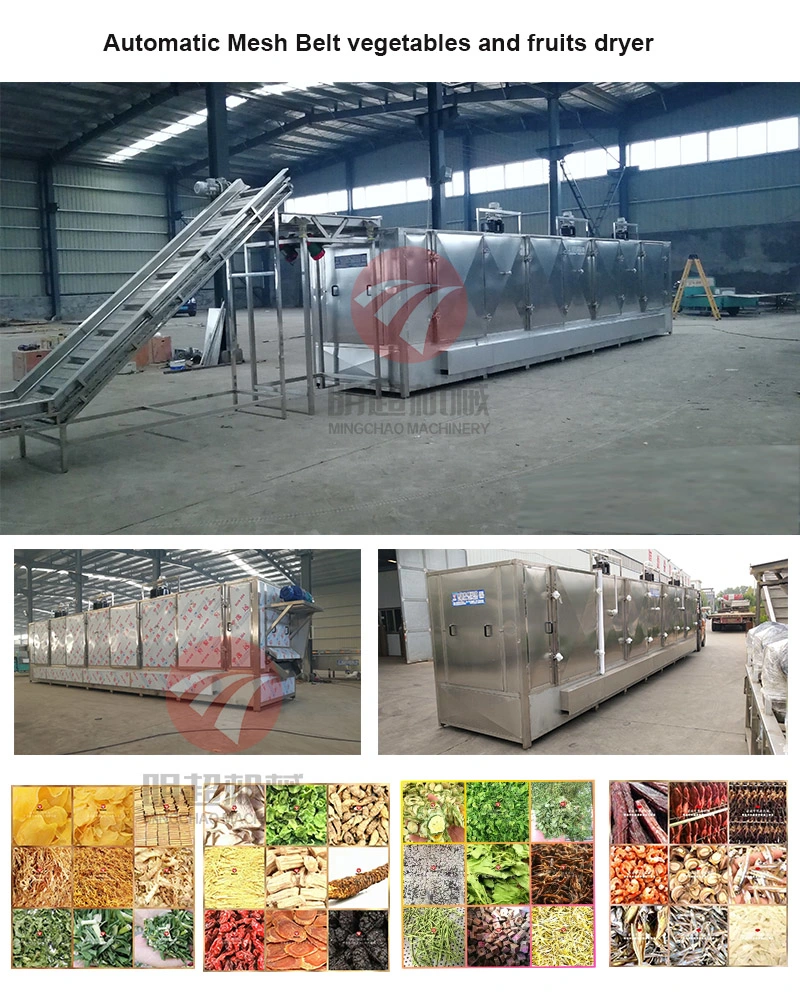 Industrial Hot Air Belt Drying Equipment Food Drying for Sale